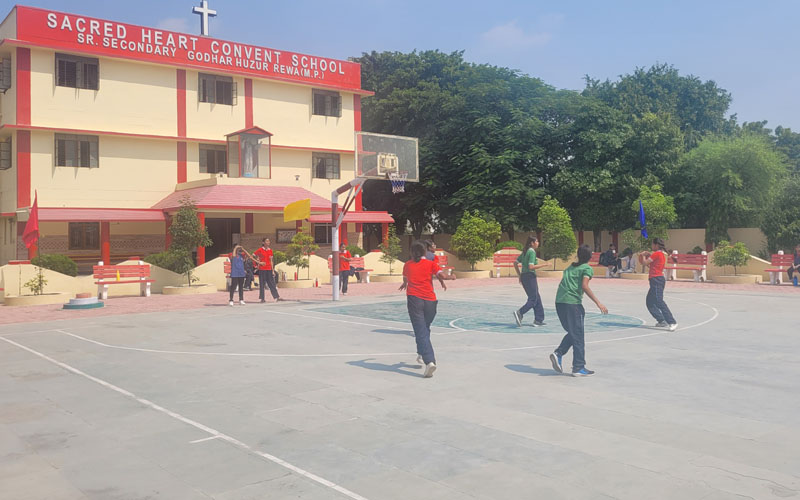 Inter House Basket Ball Sr. Girls